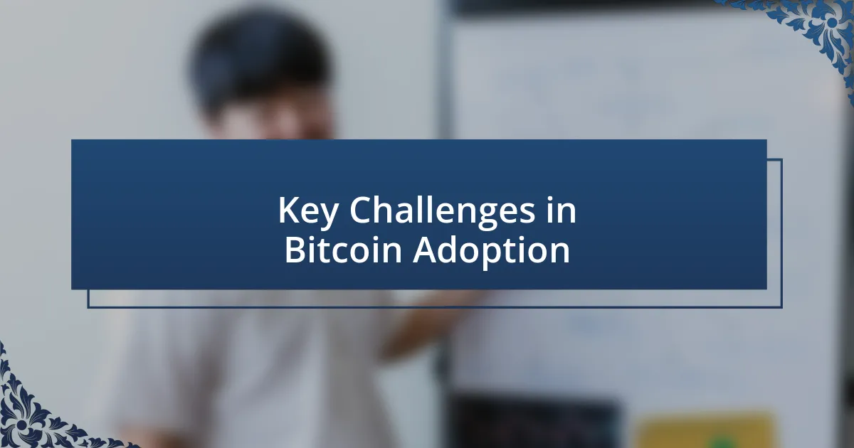 Key Challenges in Bitcoin Adoption